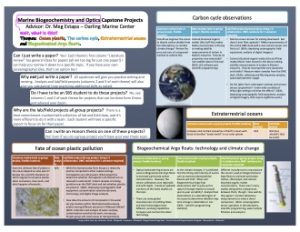 Small version of poster with capstone project ideas, click for full version.