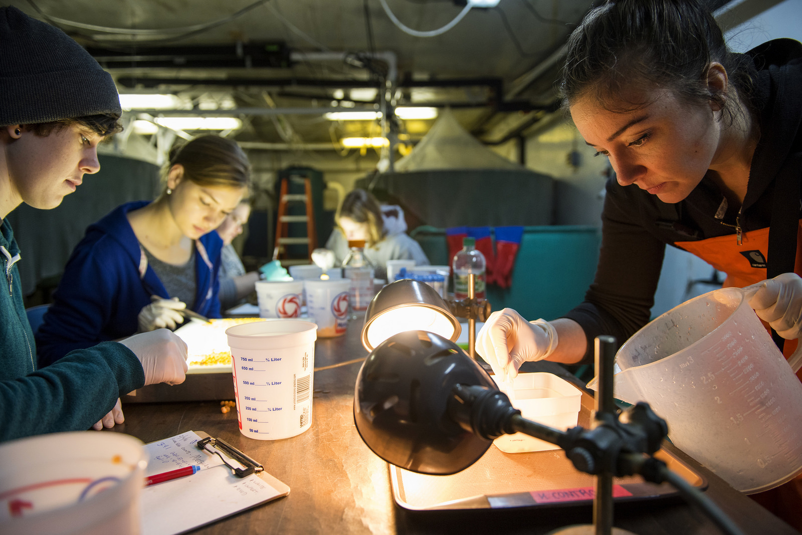 UMaine Aquaculture Research Institute