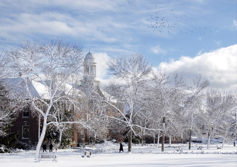 Winter on UMaine's Mall with Stevens Hall in the background